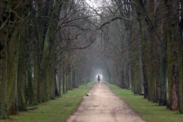 12 01 2018 Neustadt Dosse Brandenburg GER rider on horseback on an avenue season winter frontal frontal view Avenue horse riding riding horse from recovery recover equestrian riding, equestrian sport riding relax relaxation nature company own pace step wide distant 180112D008NEUSTADT DOSSE JPG