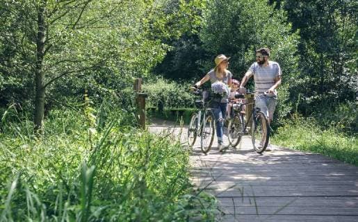 Family pushing bicycles on wooden walkway model released Symbolfoto  DAPF00832