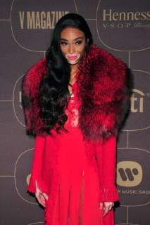 NEW YORK, NY - JANUARY 25: Winnie Harlow at the Warner Music Group Pre Grammy Celebration at The Grill The Pool in New York City on January 25, 2018. Copyright: xJohnxPalmerx
