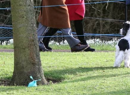 Prince Philip, Duke of Edinburgh, is oblivious to the fact that a dog owner (not the dog dog owner pictured) has put a green poo bag behind a tree, on his way to attending the St. Mary Magdalene Church Sunday morning service, in Sandringham, Norfolk, on January 28, 2018 