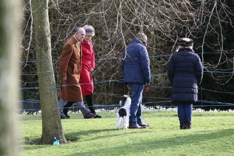 Prince Philip, Duke of Edinburgh, is oblivious to the fact that a dog owner (not the dog dog owner pictured) has put a green poo bag behind a tree, on his way to attending the St. Mary Magdalene Church Sunday morning service, in Sandringham, Norfolk, on January 28, 2018 