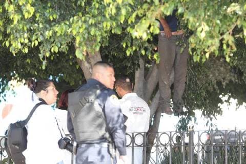 February 2, 2018 - EUM20180202SOC01.JPG.CIUDAD DE MEXICO, Death-MuerteCDMX.- Durante la manana de este 2 de febrero de 2018 fue localizado el cuerpo de un hombre atado del cuello a un arbol ubicado en las inmediaciones entre el Paseo de la Reforma y Avenida Hidalgo, en la colonia Guerrero del Centro de la Ciudad de Mexico. Foto: Agencia EL UNIVERSALAFBV  - ZUMAu78_ 20180202_zaf_u78_062 Copyright: xElxUniversalx
