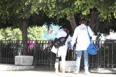 February 2, 2018 - EUM20180202SOC02.JPG.CIUDAD DE MEXICO, Death-MuerteCDMX.- Durante la manana de este 2 de febrero de 2018 fue localizado el cuerpo de un hombre atado del cuello a un arbol ubicado en las inmediaciones entre el Paseo de la Reforma y Avenida Hidalgo, en la colonia Guerrero del Centro de la Ciudad de Mexico. Foto: Agencia EL UNIVERSALAFBV  - ZUMAu78_ 20180202_zaf_u78_063 Copyright: xElxUniversalx