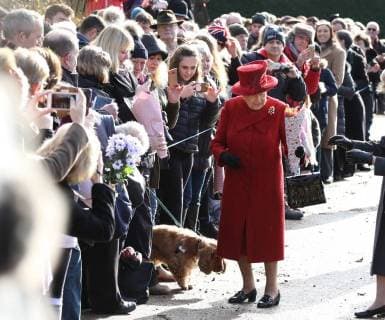 HM Queen Elizabeth II is given bunches of flowers, before a dog gets curious and takes a closer look at HM Queen Elizabeth II s shoes after attending the Sunday morning service at St Peter and St Paul church at West Newton, Norfolk, on February 4, 2018. 