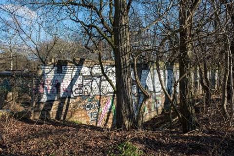 Themen der Woche Bilder des Tages Das kuerzlich in einem Waldstueck wiederentdeckte Stueck Berliner Mauer (Foto vom 05.02.18) soll als Denkmal erhalten werden. Das Landesdenkmalamt leitete die Unterschutzstellung des Mauerabschnittes am Berliner S-Bahnhof Schoenholz ein, wie Kultursenator Klaus Lederer (Linke) am Montag (05.02.2018) mitteilte. Er sprach von einem einzigartigen historischen Dokument der Teilung der Stadt. Bei dem erst vor wenigen Wochen durch einen Heimatforscher bekanntgemachten Fund handelt es sich den Angaben zufolge um eine alte Ziegelmauer, die im Zuge der Spaltung von Ost- und West-Berlin als Teil der Berliner Mauer verwendet und gesichert wurde. Nach Bekanntwerden der Entdeckung war zunaechst davon ausgegangen worden, dass es sich um ein Stueck Ur-Mauer handeln koennte. (Siehe epd-Medlung vom 05.02.2018) Berliner Mauerfund soll Denkmal werden *** Copyright: epd-bild RolfxZoellner EDITORIAL USE ONLY