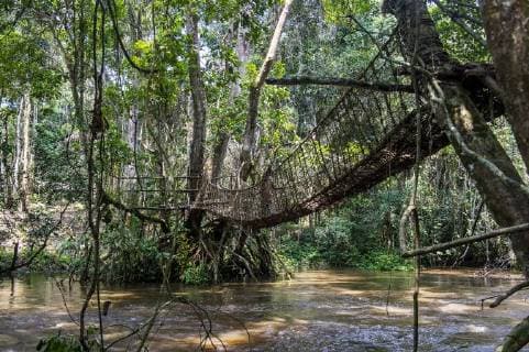 IMAGO Nature: Unsere Erde, Naturschutz, Naturschutzgebiete in Afrika Hand made vine bridge in the Dzanga-Sangha Park, UNESCO World Heritage Site, Central African Republic, Africa Copyright: MichaelxRunkel 1184-2016