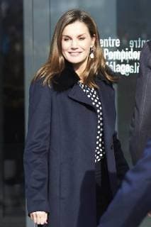 06-02-2018 Spain Queen Letizia and King Felipe during the presentation of the Golden Medals to the Fine Arts Merit at the Centre Pompidou in Malaga No Spain  Copyright: xPPE THORTONx