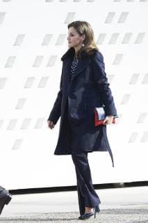 February 6, 2018 - Malaga, Andalucia, Spain - Queen Letizia of Spain attend the Gold Medals of Merit in Fine Arts 2016 ceremony at the Pompidou Center on February 06, 2018 in Malaga, Spain Malaga Spain  - ZUMAg15_ 20180206_zaf_g15_003 Copyright: xJackxAbuinx