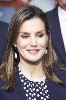 February 6, 2018 - Malaga, Andalucia, Spain - Queen Letizia of Spain attend the Gold Medals of Merit in Fine Arts 2016 ceremony at the Pompidou Center on February 06, 2018 in Malaga, Spain Malaga Spain  - ZUMAg15_ 20180206_zaf_g15_041 Copyright: xJackxAbuinx