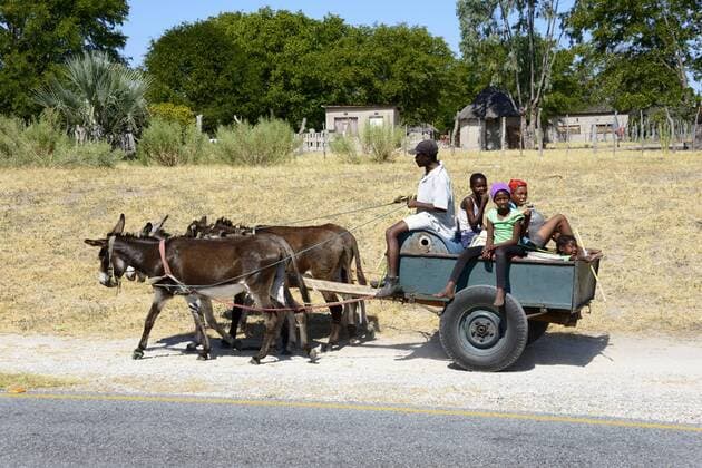 Kinder fahren mit einem Eselgespann, Botswana, Kukes children driving with donkey and carriage, Botswana, Kukes BLWS474717 Copyright: xblickwinkel McPHOTO F.xScholzx