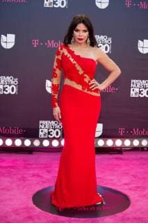 The host of radio and television and Costa Rican model Julie Ferretti poses on his arrival to the carpet of the 30th edition of the Lo Nuestro Award to the Latin Music, at the American Airlines Arena in Miami, USA, 22 February 2018. EPA Giorgio Viera Famous and popular Latinos parade in carpet of Lo Nuestro Award !ACHTUNG: NUR REDAKTIONELLE NUTZUNG!  Copyright: xGIORGIOxVIERAx MIA00 20180223-636549509268882787