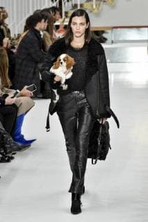 Milan Woman s Fashion Week fall winter 2019. Milano Moda Donna, autumn winter 2019. Tod s Fashion Show Pictured: Vittoria Ceretti  Copyright: xRiccardoxGiordanoxSickix xIPAx xFotosickix