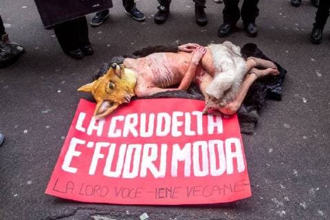 February 24, 2018 - Milan, Italy - Animal-rights activists protest during the Milan Fashion Week against the use of fur coats in the fashion industry in Milan, Italy, on 24 February 2018. Milan Italy  - ZUMAn230 20180224_zaa_n230_099 Copyright: xMairoxCinquettix
