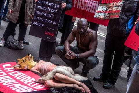 February 24, 2018 - Milan, Italy - Animal-rights activists protest during the Milan Fashion Week against the use of fur coats in the fashion industry in Milan, Italy, on 24 February 2018. Milan Italy  - ZUMAn230 20180224_zaa_n230_110 Copyright: xMairoxCinquettix