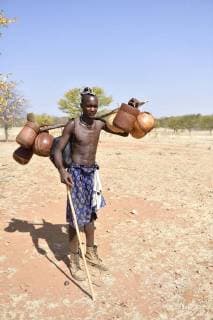 IMAGO Cultures of the world, Himba Volk in Namibia Junger Himbamann trägt Verpflegung auf dem Viehtrieb, Kaokoveld, Namibia, Afrika *** Young Himbamann bears catering on the cattle drive Kaokoveld Namibia Africa Copyright: imageBROKER/WinfriedxWisniewski iblwwi04619317.jpg