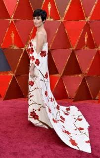 Actress Paz Vega arrives on the red carpet for the 90th annual Academy Awards at the Dolby Theatre in the Hollywood section of Los Angeles on March 4, 2018.  LAP20180304329 JIMxRUYMEN