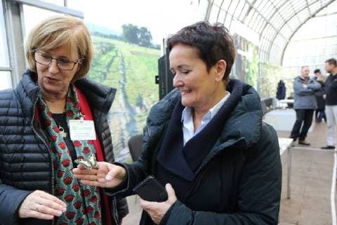 14 03 2018 Frankfurt Palmengarten Cities venture Wilderness is awarded as a project of the UN Decade of Biological Diversity City Frankfurt receives award for the project Diversity Tree Image shows Rosemarie Heilig Green environmental officer of the city of Frankfurt with a real living butterfly on hand and Christiane Paulus Federal Ministry for the Environment Conservation and Nuclear Safety BMU