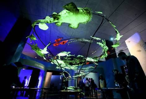 (180315) -- NEW YORK, March 15, 2018 -- Visitors look at models of undersea creatures at the Unseen Oceans exhibition held in the American Museum of Natural History in New York, the United States, March 14, 2018. The exhibition highlights the latest advances in ocean exploration, the researchers and technologies behind them and the mysteries that remain. Visitors can join scientists on their high-tech, high-adventure, and high-impact fieldwork to see and discover beautiful, diverse, and important creatures living at previously unseen ocean layers. ) (djj) U.S.-NEW YORK-UNSEEN OCEANS-EXHIBITION WangxYing