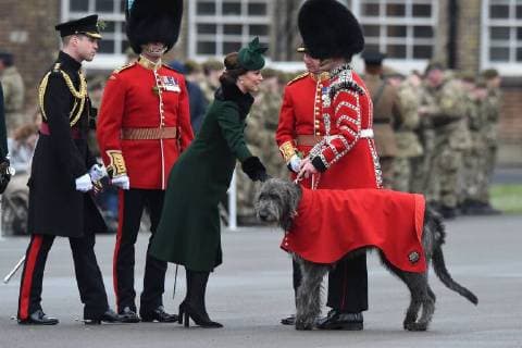 Bilder des Tages . 17 03 2018. London, United Kingdom. William and Kate Attend St Patrick s Day Parade. Cavalry Barracks. The Duke of Cambridge, Colonel of the Irish Guards, accompanied by The Duchess of Cambridge visit the 1st Battalion Irish Guards for the St Patrick s Day Parade at the Cavalry Barracks in Hounslow.  xPetexMaclainex xi-Imagesx IIM-17267-0017