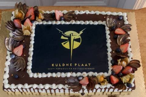 20.03.2018, Tallinn Kadrioru lossis toimus auhinnatseremoonia Kuldne Plaat 2018, kus tunnustati Eesti edukamaid muusikailma tegijaid. The Estonian Music Awards are the annual Estonian pop music awards. The awards began in 1998, when the Estonian Association of the Phonogram Producers first awarded the Golden Record (Estonian: Kuldne Plaat) to the most successful artists. Foto: Konstantin Sednev Eesti Meedia Tallinn Harjumaa Estonia  Copyright: xKonstantinxSednevx