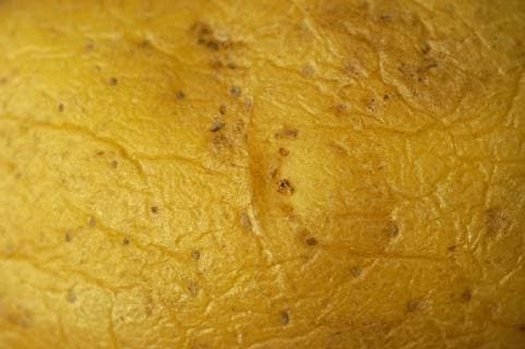 Potato peel organic Copyright: xKTHx ALLF916178