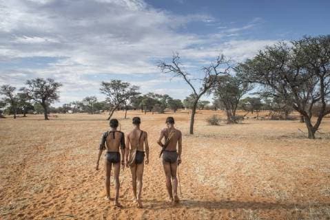 Kung Buschmänner in der Kalahari, Zebra Lodge, Hardap Region, Namibia, Afrika *** Kung Bushmen in the Kalahari Zebra Lodge Hardap region Namibia Africa Copyright: imageBROKER MatthiasxGraben ibldrn04648815.jpg