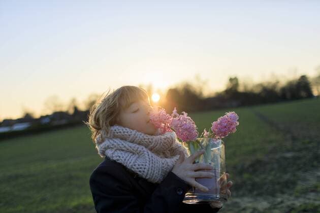 Boy on a meadow smelling hyacinth at sunset model released Symbolfoto  KMKF00153