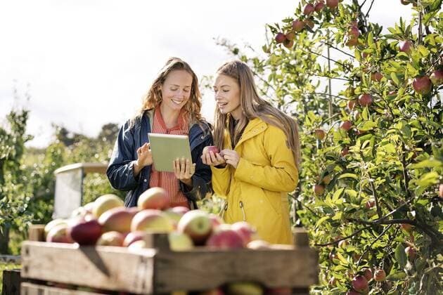 IMAGO Creative: Landleben - Alfresco, Draußen Two smiling women using tablet in apple orchard model released Symbolfoto property released  PESF00962