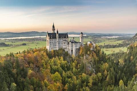 Neuschwanstein Castle surrounded by coloured fir trees at sunset, Schwangau, Schwaben, Bavaria, Germany, Europe Copyright: francescoxvaninetti 1251-402