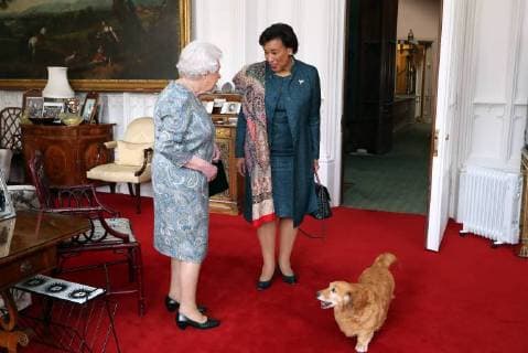 Entertainment Bilder der Woche Bilder des Tages . 11 04 2018. Windsor, United Kingdom. Queen Elizabeth II receives the Commonwealth Secretary-General, Baroness Patricia Scotland, during an audience in the Oak Room at Windsor Castle, United Kingdom.  xROTAx xi-Imagesx IIM-17458-0002