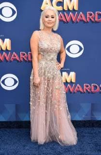 Raelynn arriving at the 53rd Annual Academy of Country Music Awards in Las Vegas, Nevada - April 15, 2018 - Academy of Country Music Awards 2018, Las Vegas Nevada United States MGM Grand Garden Arena  Copyright: xArroyo-OConnorx h_00504365