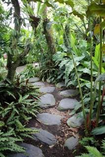 Weg im Botanischens Garten, Singapore Botanic Gardens, Singapur path through Singapore Botanic Gardens, Singapore BLWS479096 Copyright: xblickwinkel E.xTeisterx