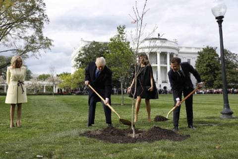 Themen der Woche KW17 Bilder des Tages U.S. President Donald Trump with France s president Emmanuel Macron and First Ladies Melania Trump and Brigitte Macron plant a tree, a gift from the President and Mrs. Macron, on the South Lawn of the White House in Washington, DC on Monday, April 23, 2018.  WAX20180423118 YurixGripas