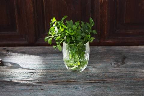 Fresh parsley in glass of water  KSWF01873