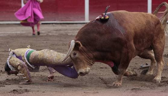 Mexican Arturo Macias is gored by a bull during a bullfighting as part of National Fair of San Marcos at Monumental bullring in Aguascalientes, Mexico, 27 April 2018. National Fair of San Marcos in Aguascalientes, Mexico !ACHTUNG: NUR REDAKTIONELLE NUTZUNG!  Copyright: xMarioxGuzmánx MEX31 20180428-636604915419629624