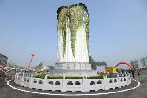 Themen der Woche KW17 Bilder des Tages April 27, 2018 - Handan, Handan, China - Handan, CHINA-27th April 2018: A 20-meter-tall sculpture of Chinese cabbage can be seen in Handan, north China s Hebei Province, April 27th, 2018. Handan China  - ZUMAs145 20180427_zaa_s145_292 Copyright: xHaoxQunyingx