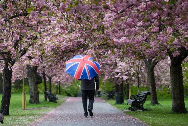 April 30, 2018 - London, London, UK - London, UK. A person with a union jack umbrella walks through cherry blossom trees during wet and windy weather in Greenwich Park in London. The capital has been experiencing heavy rain and windy weather today. London UK  - ZUMAl94_ 20180430_zaf_l94_051 Copyright: xVickiexFloresx