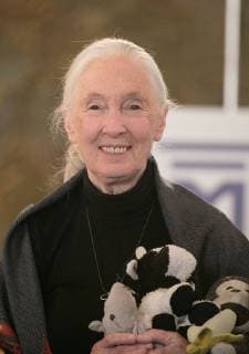 IMAGO ICONS: Jane Goodall April 30, 2018 - Beverly Hills, California, U.S - Jane Goodall, Founder, Jane Goodall Institute during the 2017 Milken Institute Global Conference held Monday April 30, 2018 at the Beverly Hilton Hotel in Beverly Hills, California. Beverly Hills U.S. - ZUMAp124 20180430_zaa_p124_541 Copyright: xJavierxRojasx