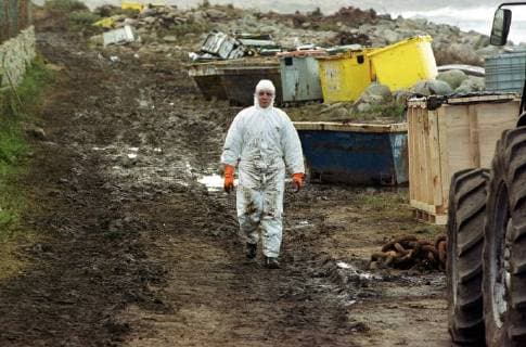 Volunteers of the Spanish environmental organization Tragsa clean on Friday 13 12 2002 a stretch of coast at Mougas Galicia contaminated by the oil of the sunken tanker Prestige For cleaning they have only the simplest means available There are missing everywhere devices to clean the beaches of the oil From the tanker is still running out of oil