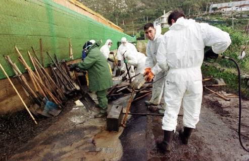 Volunteers of the Spanish environmental organization Tragsa clean on Friday 13 12 2002 a stretch of coast at Mougas Galicia contaminated by the oil of the sunken tanker Prestige For cleaning they have only the simplest means available There are missing everywhere devices to clean the beaches of the oil From the tanker is still running out of oil