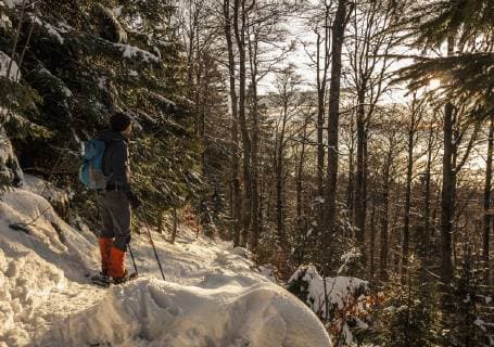IMAGO Creative: Jahreszeit Winter, Spaziergang Man hiking with snowshoes in the Black forest, Mount Kandel, Baden-Württemberg, Germany mit_2027_10476