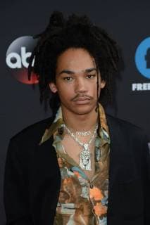 May 15, 2018 - New York, NY, USA - May 15, 2018 New York City..Luka Sabbat attending arrivals for Disney ABC Freeform Upfront Presentation at Tavern on The Green on May 15, 2018 in New York City. New York USA  - ZUMAny1_ 20180515_zaf_ny1_243 Copyright: xKristinxCallahanx