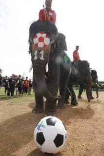 Thailand: World Cup elephant Elephants play soccer with Thai students at a school in Thailand s Ayutthaya province. The match was held as part of a campaign to promote the 2018 World Cup and also to discourage gambling during the competition. Ayutthaya Thailand  ChaiwatxSubprasom