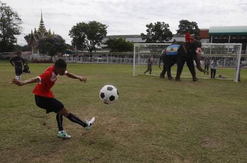 Thailand: World Cup elephant Elephants play soccer with Thai students at a school in Thailand s Ayutthaya province. The match was held as part of a campaign to promote the 2018 World Cup and also to discourage gambling during the competition. Ayutthaya Thailand  ChaiwatxSubprasom