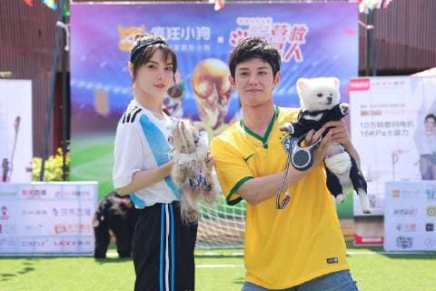 June 13, 2018 - Beijin, Beijin, China - Beijing, CHINA-13th June 2018: Dogs attend a special World Cup football game in Beijing, China, June 13th, 2018. Beijin China  - ZUMAs145 20180613_zaa_s145_111 Copyright: xLiaoxBaojunx