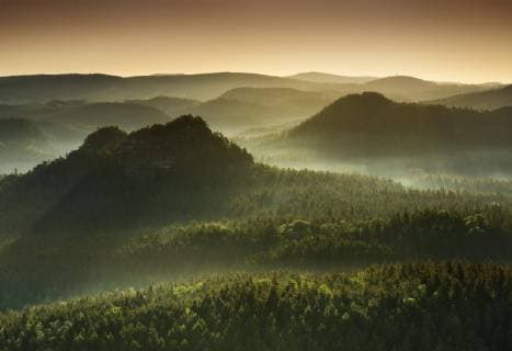 Morning mood in the Elbe Sandstone Mountains View on the Lorenzsteine \u200b\u200bin the back light Fog rises on Saxon Switzerland National Park Saxony Germany Europe Copyright: imageBROKER/AndreasxVitting iblavi04703008.jpg