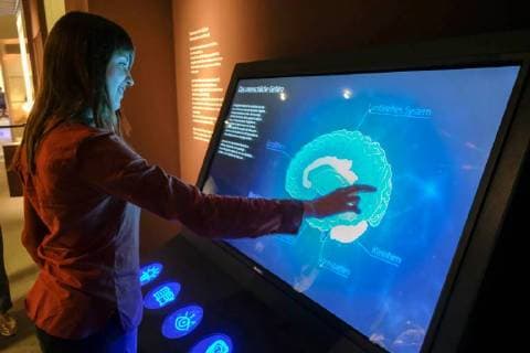 Sonderausstellung Das Gehirn - Intelligenz, Bewusstsein, Gefuehl im LWL-Museum für Naturkunde, Muenster, 26.06.18. Das LWL-Naturkundemuseum in Muenster erkundet ab Freitag (29.06.18) in einer grossen Themenschau die anatomische Vielfalt und Leistungskraft des Gehirns. Auf einer Ausstellungsflaeche von 1.200 Quadratmetern werden 770 Objekte gezeigt. Unterteilt in 13 Themenbereiche sollen die Exponate Aufschluss geben ueber das komplexe Organ, das Handlungen bestimmt, die Persoenlichkeit formt und fuer die Gefuehle verantwortlich ist. Wertvollstes Exponat sind zwei Scheiben aus dem Gehirn von Albert Einstein (1879-1955). Der US-Pathologe Thomas Harvey hatte nach dem Tod des Nobelpreistraegers und Begruenders der Relativitaetstheorie gegen dessen Willen das Gehirn des Wissenschaftlers entnommen, konserviert und Schnitte davon an Wissensch Copyright: epd-bild FriedrichxStark EDITORIAL USE ONLY