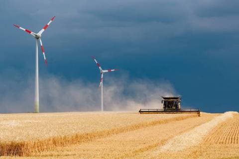 Erfurt OT Frienstedt 050718 Agriculture Barley harvest starts earlier than usual In the picture A barley field near Erfurt is threshed by a combine harvester New Holland CR10 90 After weeks of drought, dark clouds gather for harvest