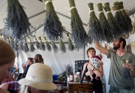 News Bilder des Tages July 7, 2018 - Albuquerque, New Mexico, U.S. - -- Beth Arnold, second from right, watches as her husband Kemper Barkhurst, right, restock hanging bundles of lavender inside the Bluefly Farms tent at the Lavender in the Village festival at the Agri-Nature Center in Los Ranchos, Saturday, July 7, 2018. We ve been working day and night, said Arnold about gathering bundles of fresh lavender from their one-acre lavender field in Peralta. Albuquerque U.S. - ZUMAab1_ 20180707_zaf_ab1_004 Copyright: xMarlaxBrosex