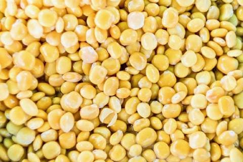  Lupinenbohnen in Salzwasser, Hintergrundbild *** Lupine beans in salt water Wallpaper Copyright: imageBROKER/JacekxSopotnicki ibxjas04713734.jpg